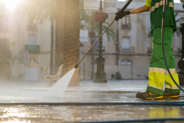 Best Gutter Cleaning  in Line Acres, MO
